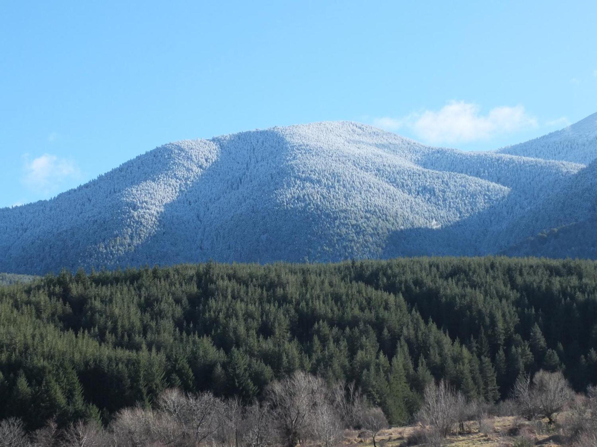 Pirin Heights A-21 Близо До Ски Пистата Bansko Luaran gambar